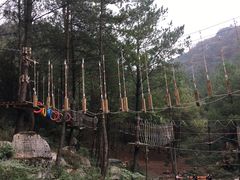 -梦幻奥陶纪景区