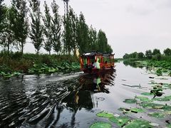 -白洋淀风景区