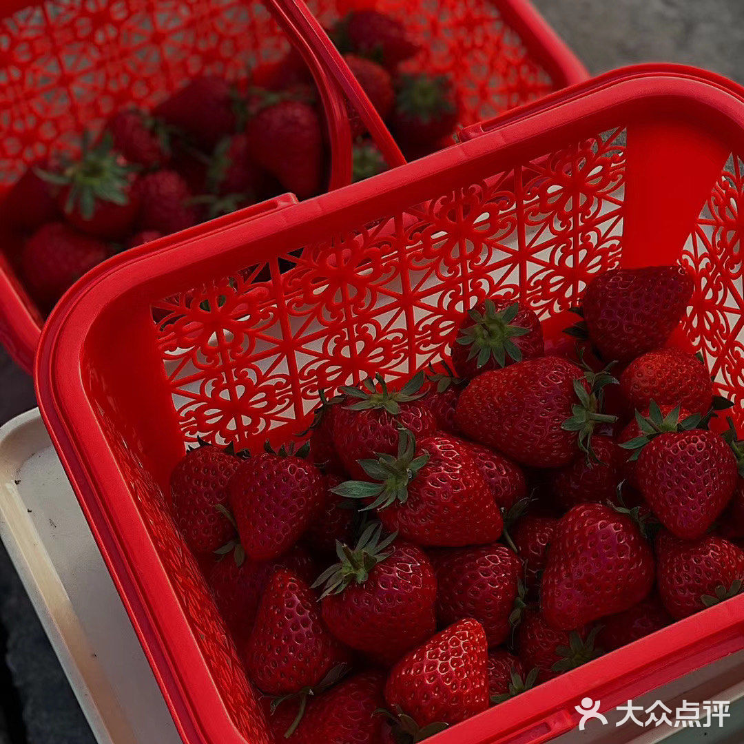 今天是草莓味的一天|北塘草莓