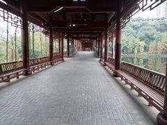 -重庆彩云湖湿地公园