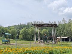 -哈尔滨北方森林动物园