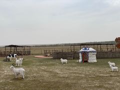 -苏泊罕大草原旅游景区