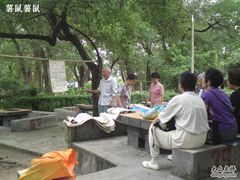 -晓港公园