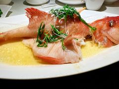 -顺峰顺水顺德菜(第一百货店)