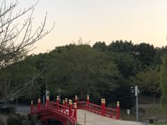 -东方绿舟景区