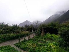 -抱龙峪