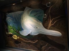-白鹤梁水下博物馆