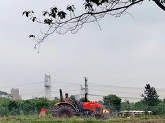 -嘉北郊野公园