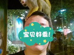 -萌宠奇缘