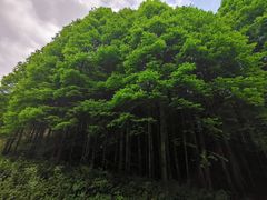 -龙窝子