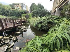-昆明洲际酒店