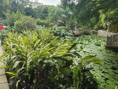 -晓港公园