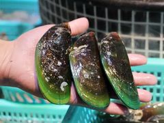 -海大大蒸汽海鲜餐厅·粤菜·特色小炒(欢乐颂店)