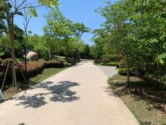 -上海海湾国家森林公园