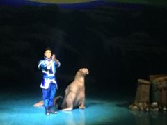 -大连圣亚海洋世界