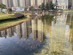 -花果园湿地公园