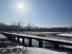 -东郊湿地公园
