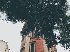 -厦门大学(思明校区)