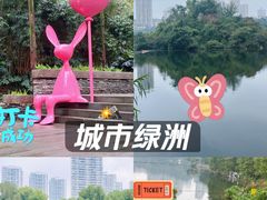 -重庆彩云湖湿地公园