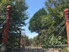 -山西通天峡景区
