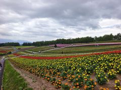 -富田农场