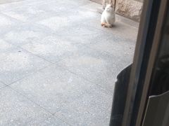 -哈尔滨工业大学(威海校区)