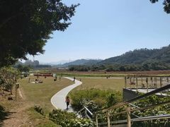 -风云岭森林公园