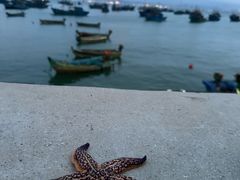 -海源公园