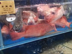 -鹊华居·地道鲁菜·海鲜·融合味(大明湖店)