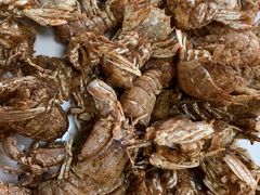 -宾朋海鲜特色美食餐厅·纯手工鲅鱼水饺(兴海路店)