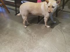 -Cactus墨西哥仙人掌餐厅