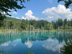 -富田农场