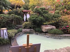 -杭州第一世界大酒店·云曼温泉