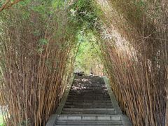 -张坝桂圆林公园