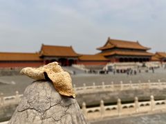 -故宫博物院(故宫)