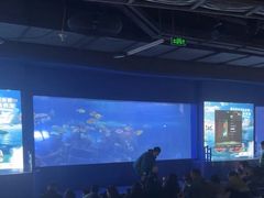 -重庆欢乐海底世界