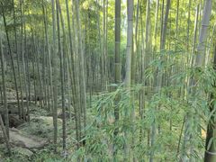 -将军关探险漂流