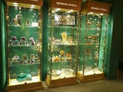 -Behring World of Animals(上海自然博物馆店)