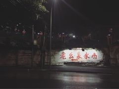 -老幺泉水鸡