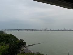 -大湾区中央湿地公园