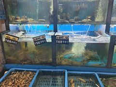 -老东镇啤酒屋海鲜加工·蒸汽海鲜·海鲜烧烤(台东店)