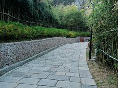 -竹子庵公园