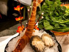 -鲜入围煮花胶鸡海鲜火锅