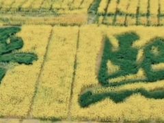 -花亭湖风景名胜区