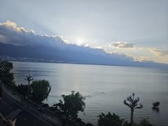 -野菌皇海景野生菌火锅(滨海大道店)
