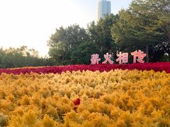 -厦门园林博览苑
