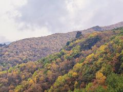 -小五台金河景区