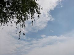 -漕湖湿地公园