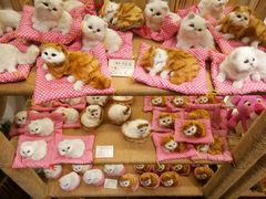 -猫咪博物馆(顶澳仔猫街店)