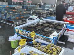 -上海龙吴水胜海发市场